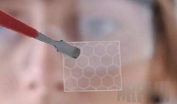 ʯīϩ��������ء������߽�ǧ����