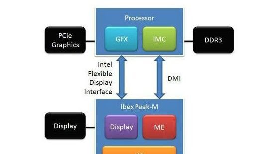 �����Կ���ʲô��˼�����Կ���ʲô��˼ �����Կ��ͼ����Կ�������