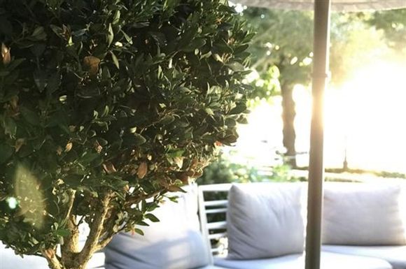 �͹���ƻ��iPhone7 Plus������ͷΪ���޷������͹���ƻ��iPhone7 Plus������ͷΪ���޷�������