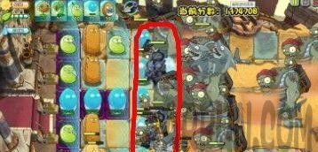 ֲ���ս��ʬ�޾���ս����ֲ���ս��ʬ�޾���ս����