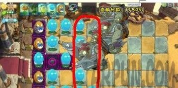 ֲ���ս��ʬ�޾���ս����ֲ���ս��ʬ�޾���ս����