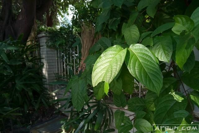 ����6��������,�߶˻��͵����