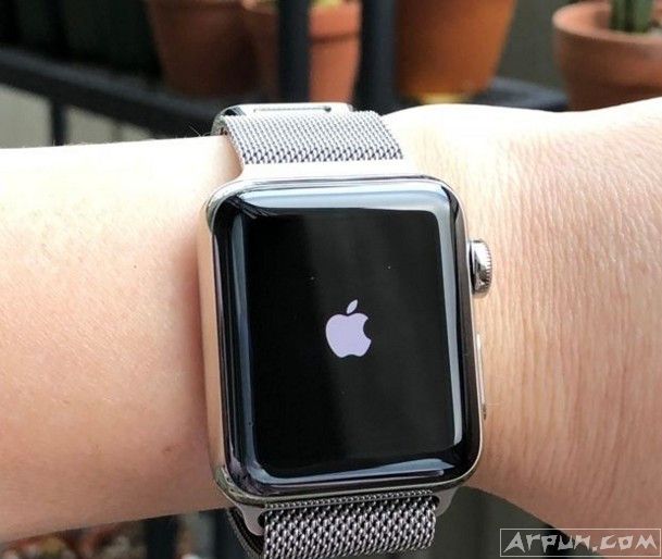 Apple Watch͸¶��һ���µ�©������Siri��������