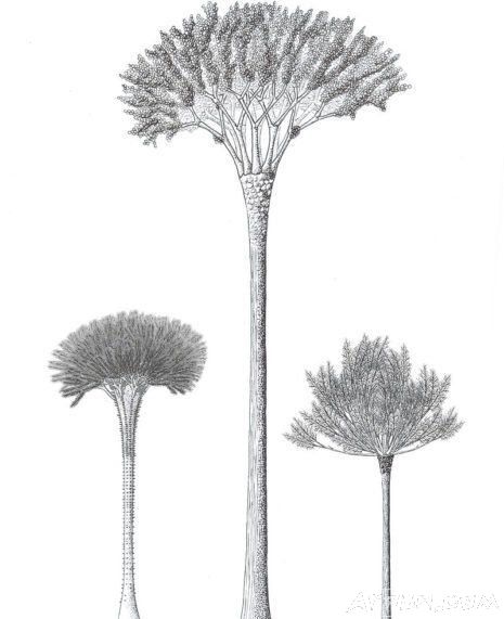 ��������ʷ������һ�������о��ܸ�������ʲô�������������Ҫ���ӵö�