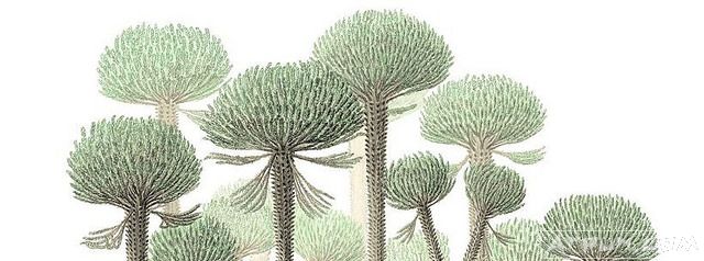 ��������ʷ������һ�������о��ܸ�������ʲô�������������Ҫ���ӵö�