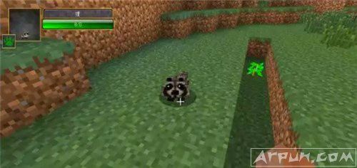 �ҵ�����ʮ�����˱�����MOD