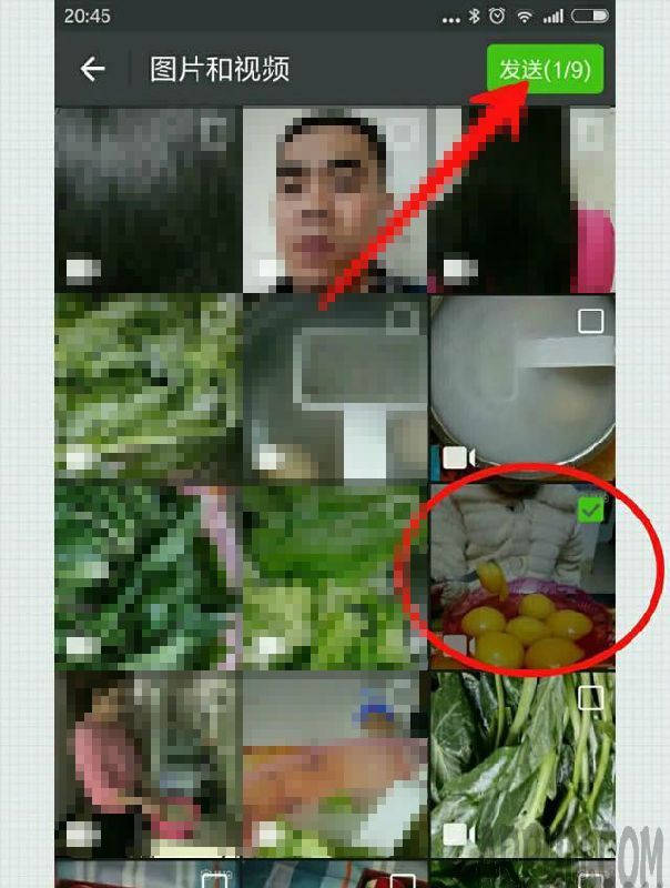 ������΢������Ȧ��5������Ƶ