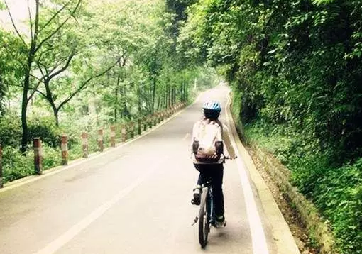 ��ĩ����ȥ���������ȫ�̵�����������