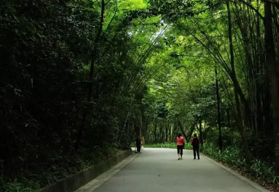 ��ĩ����ȥ���������ȫ�̵�����������