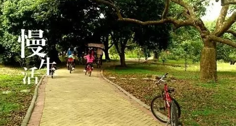 ��ĩ����ȥ���������ȫ�̵�����������