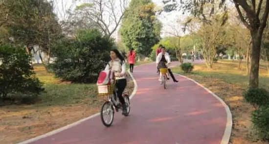 ��ĩ����ȥ���������ȫ�̵�����������