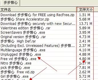 �������� P2Psearcherحɶ����˵�ˣ��㶮�ġ�����