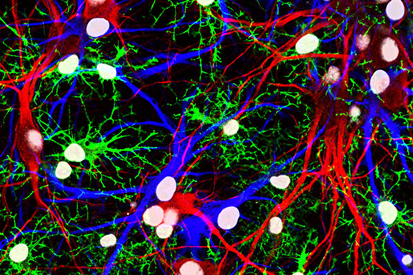 ��ϸ�����͹�60�� ���о���ı�������