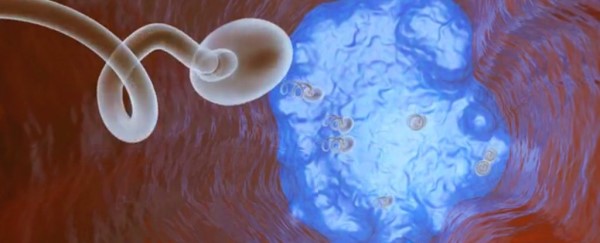 ���Ա����·��֣�һ���ܹܺü���