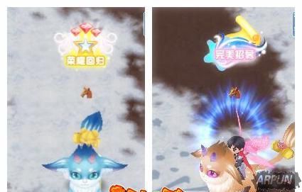 ������Q����ȫ������ҫ�ع� ��ɫ����������