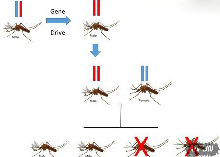 �����ݻ�: ��ѧ�������û���༭ʹ�������ó���֣�