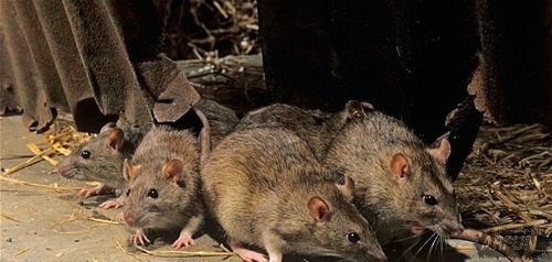 �����ݻ�: ��ѧ�������û���༭ʹ�������ó���֣�