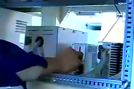 �����廨����ά����Ƶ