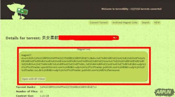 Torrentkitty�޷�����Ϊʲô����ô����أ�