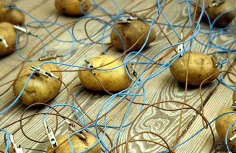 ��ѧ�ҷ����������ܷ��磡 һ�ž����������40��