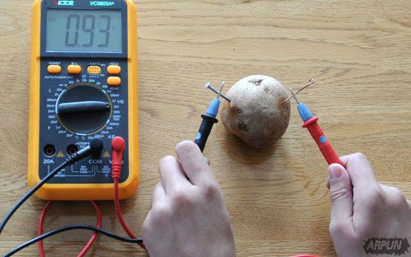 ��ѧ�ҷ����������ܷ��磡 һ�ž����������40��