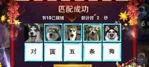 ʮ��ԭ������㣺Ϊʲô����ô������������ҫ��