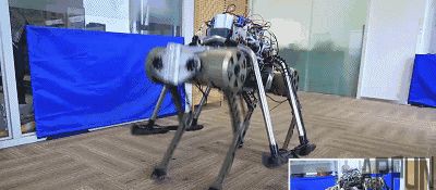 ��󡰳��á�������:��С�ܡ����ܡ���¥��