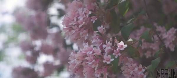 ���ι�Ȧ��ͷ�����û��