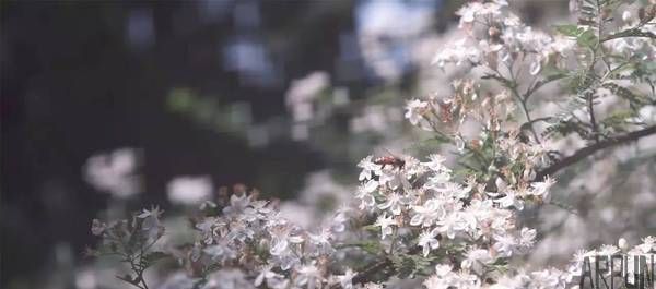 ���ι�Ȧ��ͷ�����û��