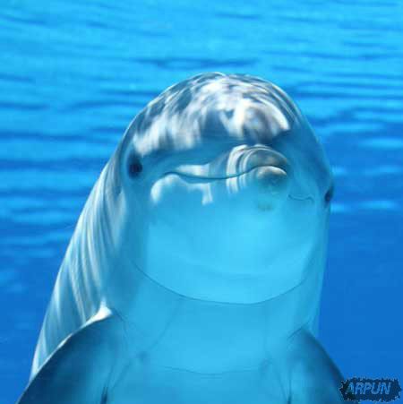 ���������Ǿ��ܷ��뺣������ԣ�