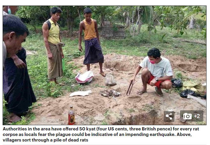 2017���ڽ����ݽ���3ƪ