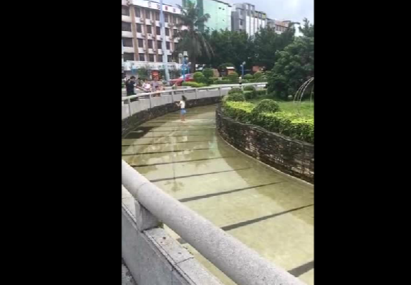 ���ǹ��̽㣬͵ժ55��һ�ŵ����ǹ���