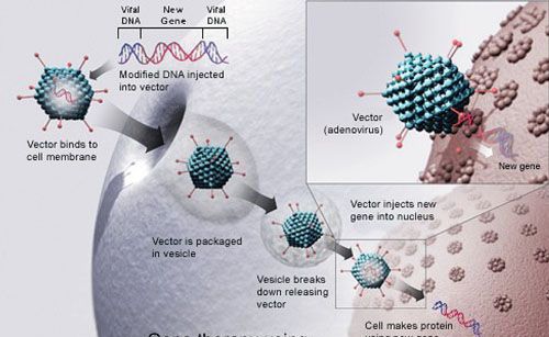 ��ѧ��ע�䲡�����۾��ﷴת���ϻ���ä��֢״��