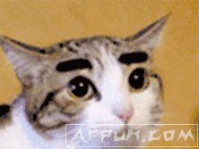 ʯ����ʲô��˼����������ʯ����ʲô��˼��