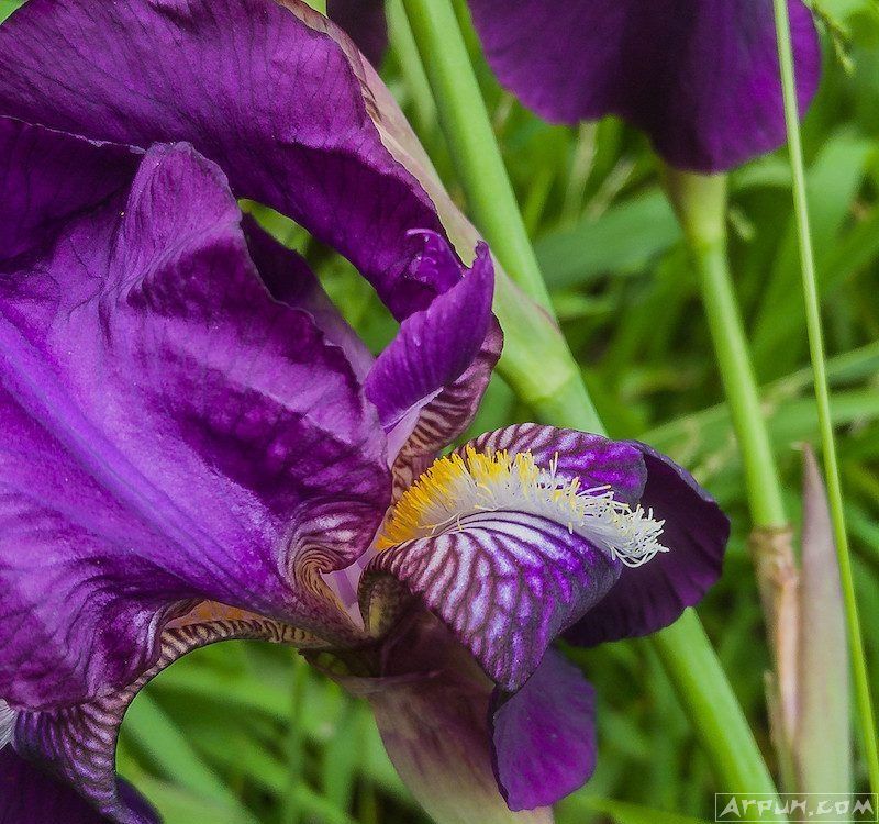 iPhone 8������ �������û�������