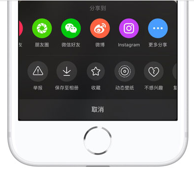 如何在iPhone上下载无水印抖音视频?