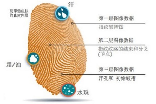 ����ָ��ԭ����ʲô ʵ�ַ�������ԭ������ָ��