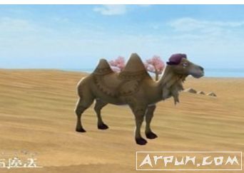 创造与魔法骆驼位置一览,创造与魔法骆驼在哪?