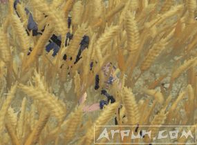 ��Ұ�ж�ʮ������ô�ã���Ұ�ж�ʮ���������÷�����