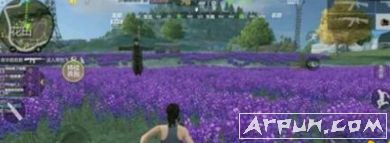 CF��������ǹˢ�µص�