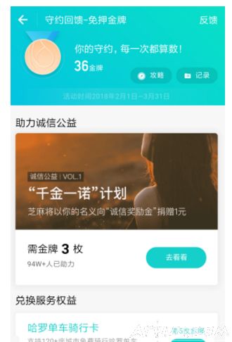 ֧������Լ�������ϸ����