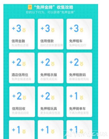 ֧������Լ�������ϸ����