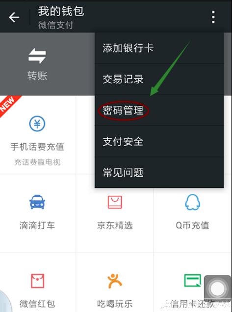 ΢��֧����������