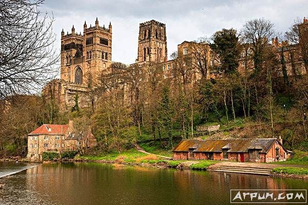 ����ķ��ѧ��ѧԺ�����뾭��ѧ���ڣ����رҵļ۸񽫻ع���