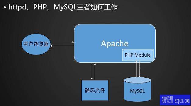 linux�mysql linux��ΰ�װmysql