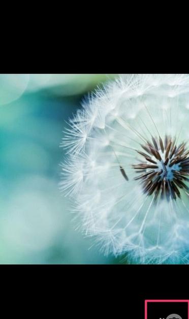 ��ѶQQ����Ⱥͷ��[��ѶQQ�������Ⱥͷ��?����Ⱥͷ��ķ���]����������ѶQQ����Ⱥͷ��Ĳ�������