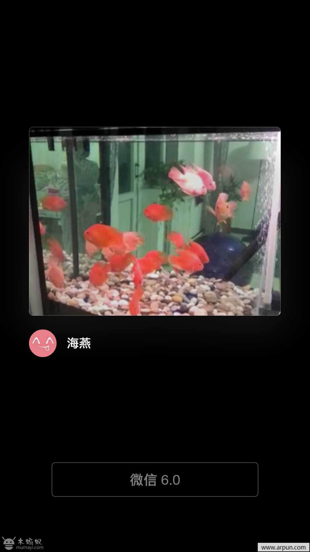 ΢