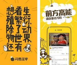 网易菠萝