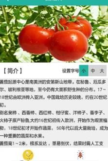农训(病虫害诊断)app