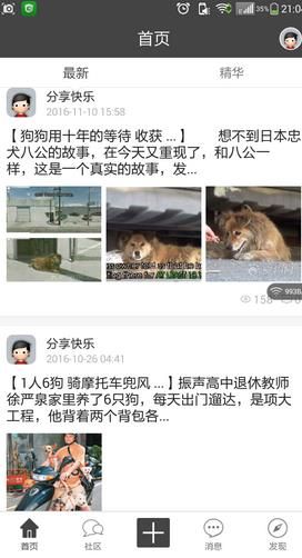 狗狗网